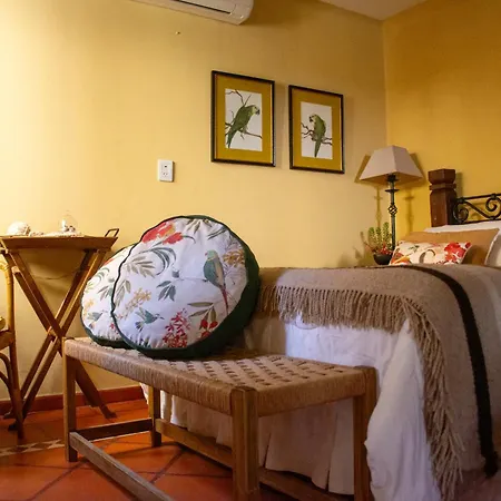 Villa Vicuna Cafayate Boutique Hotel-2